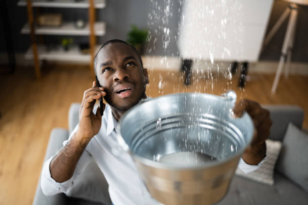 Best Sewage cleanup and water damage restoration  in Plano, IL