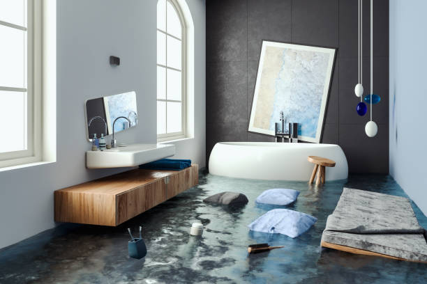 Best Local water damage restoration  in Plano, IL