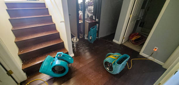 Local water damage restoration in Plano, IL