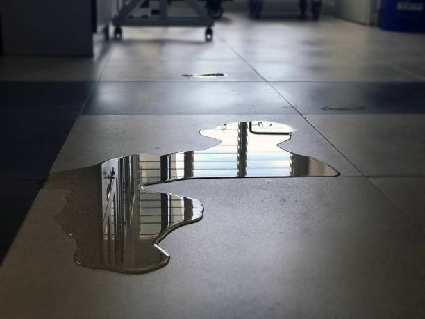 Best Water damage cleanup near me  in Plano, IL