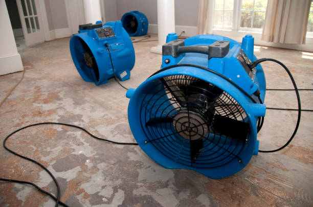 Best 24/7 water damage repair  in Plano, IL